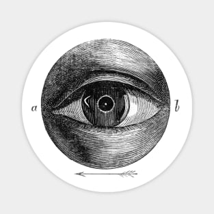 Eye of the Beholder Magnet